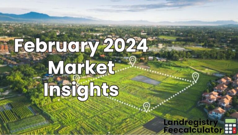 Feb 2024 Market Insights